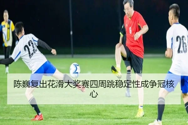 chen-wei-fu-chu-hua-hua-da-jiang-sai-si-zhou-tiao-wen-ding-xing-cheng-zheng-guan-he-xin-3-896.jpg