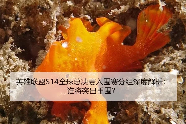 ying-xiong-lian-meng-quan-qiu-zong-jue-sai-ru-wei-sai-fen-zu-shen-du-jie-xi-shui-jiang-tu-chu-chong-wei-2-886.jpg